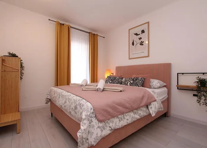 招待所 And Matosevic