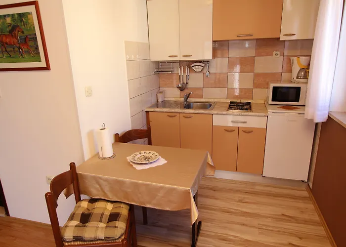 And Matosevic 招待所